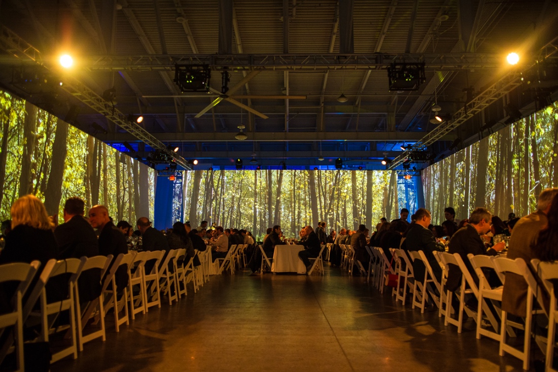 audio_visual__0010_ThemeDream.3.19.18_WR 1298