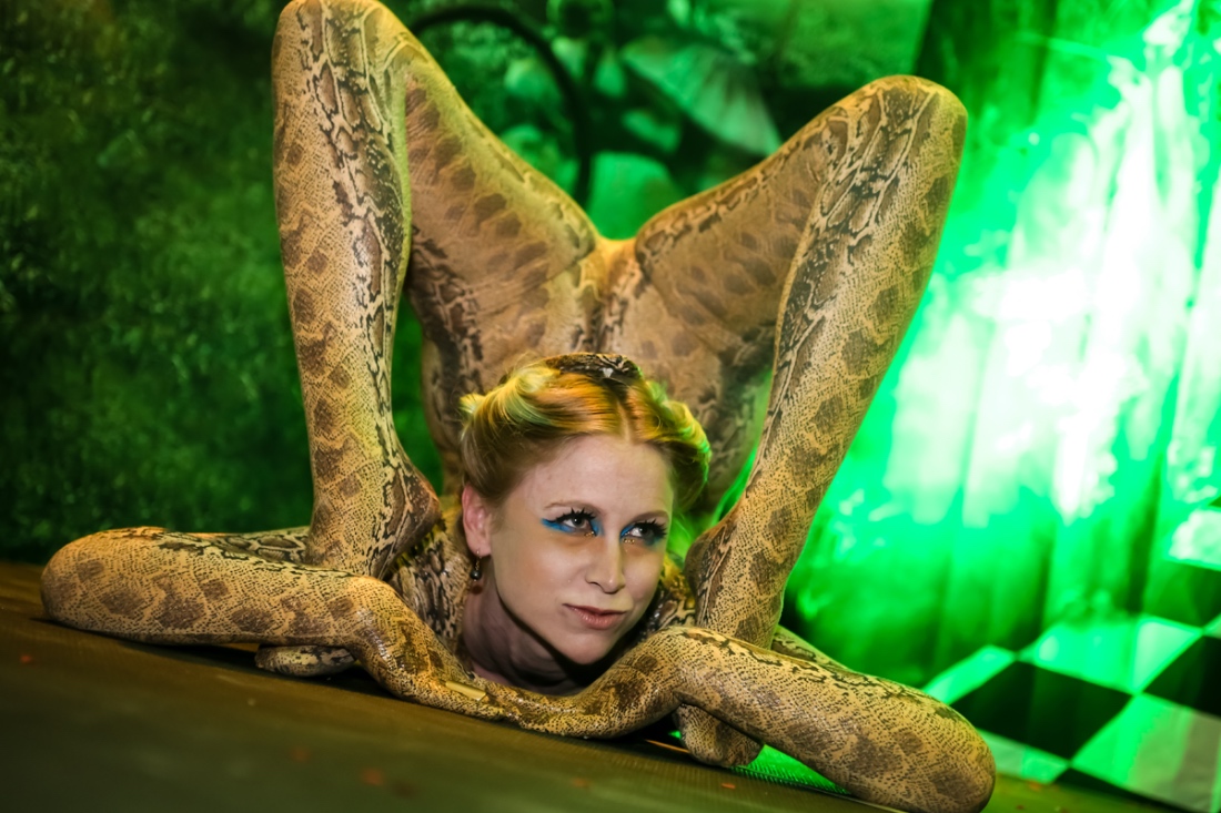 entertainment_section__0017_IMAGINE NEW-YEARS--33.JPG