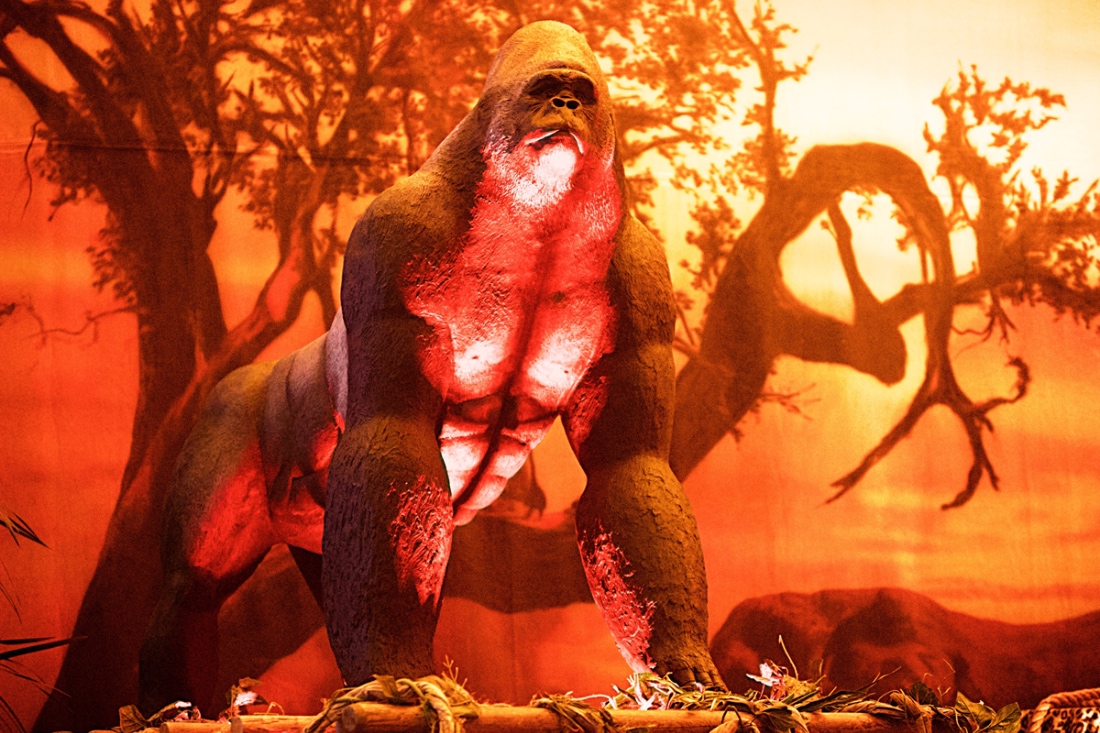 fabrication__0010_EyeofPassion_000 38-%281%29