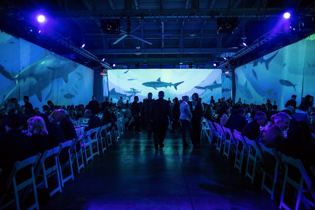 immersive_0003_Layer 8